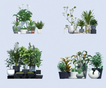 Modern Ground Green Plant Potted Plants-ID:512238035