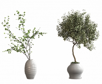 Modern Ground Green Plant Potted Plants-ID:227133999