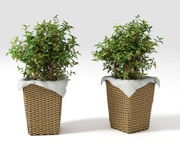 Nordic Style Ground Green Plant Potted Plants-ID:248043069