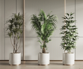 Modern Ground Green Plant Potted Plants-ID:824873923
