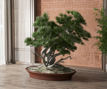 New Chinese Style Potted Green Plant-ID:867321973