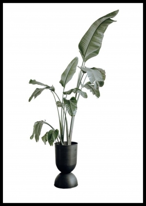 植物装饰画-ID:5704151