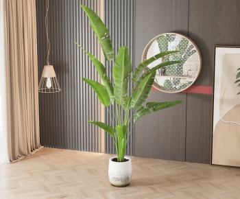Modern Ground Green Plant Potted Plants-ID:479335078