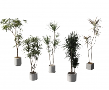 Modern Ground Green Plant Potted Plants-ID:602760333