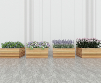 Modern Flower Bed, Flower Bowl, Flower Box-ID:561075931