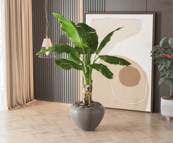 Modern Ground Green Plant Potted Plants-ID:999434954