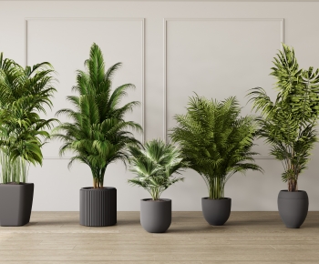 Modern Ground Green Plant Potted Plants-ID:569662095
