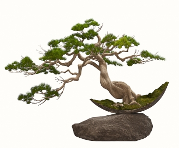 New Chinese Style Bonsai-ID:691287994