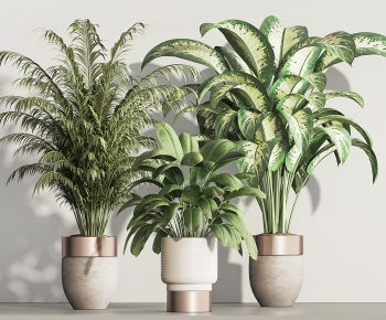 Modern Ground Green Plant Potted Plants-ID:191941021