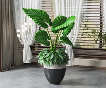 Modern Ground Green Plant Potted Plants-ID:496395112