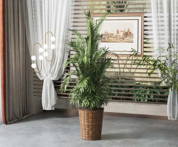 Modern Ground Green Plant Potted Plants-ID:108422998