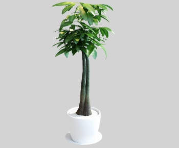 Modern Ground Green Plant Potted Plants-ID:665020998