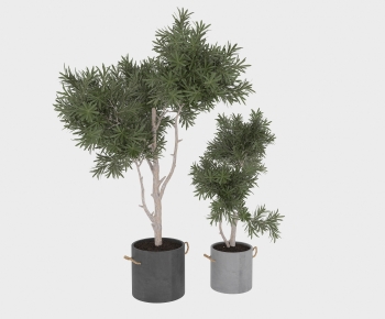 Modern Ground Green Plant Potted Plants-ID:566997054