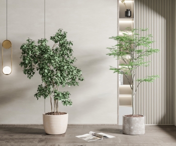 Modern Ground Green Plant Potted Plants-ID:288465023