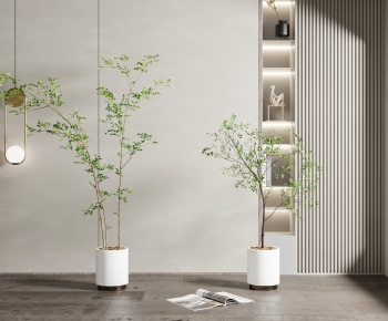 Modern Ground Green Plant Potted Plants-ID:919197087