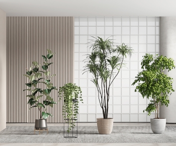 Modern Ground Green Plant Potted Plants-ID:869085079