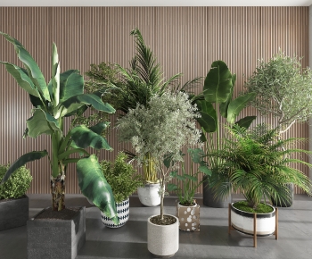 Modern Ground Green Plant Potted Plants-ID:271888025