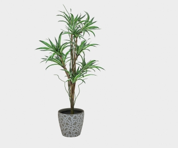 Modern Ground Green Plant Potted Plants-ID:827508932