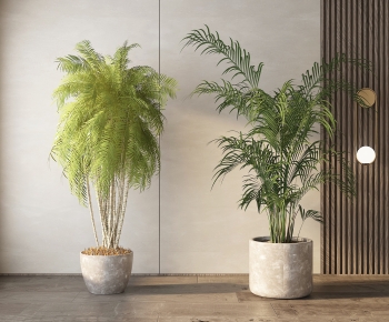Modern Ground Green Plant Potted Plants-ID:779802087