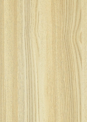 ModernWood Texture