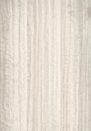 ModernWood Texture