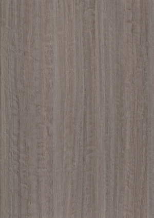 ModernWood Texture