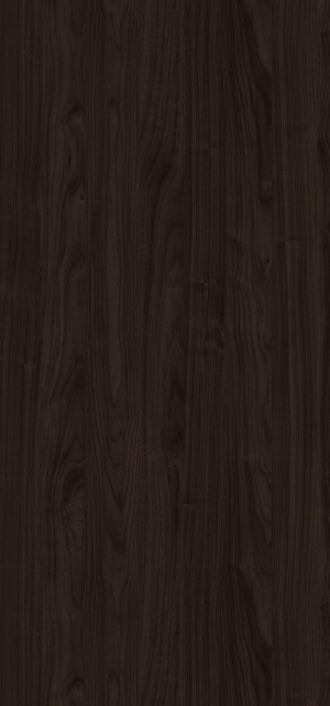 ModernWood Texture