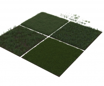 Modern The Grass-ID:421375046
