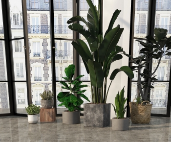 Modern Ground Green Plant Potted Plants-ID:691149951