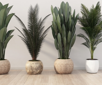 Modern Ground Green Plant Potted Plants-ID:671849976