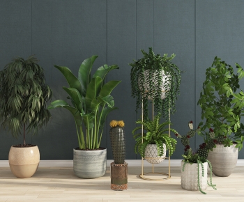 Modern Ground Green Plant Potted Plants-ID:905770063