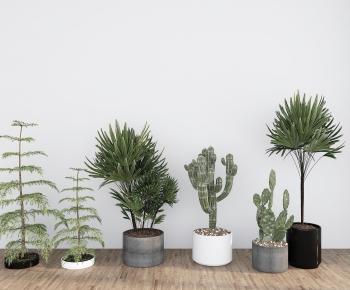 Modern Ground Green Plant Potted Plants-ID:923466924