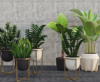 Modern Ground Green Plant Potted Plants-ID:125072006