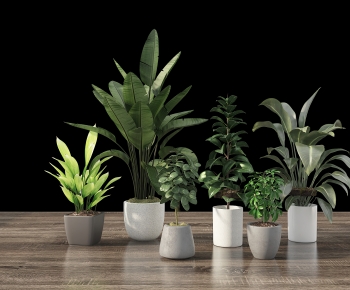 Modern Ground Green Plant Potted Plants-ID:372064119