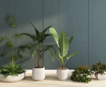 Modern Ground Green Plant Potted Plants-ID:501333009