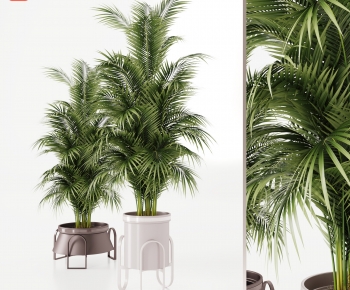 Modern Ground Green Plant Potted Plants-ID:799590113
