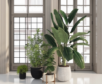 Modern Ground Green Plant Potted Plants-ID:316889326