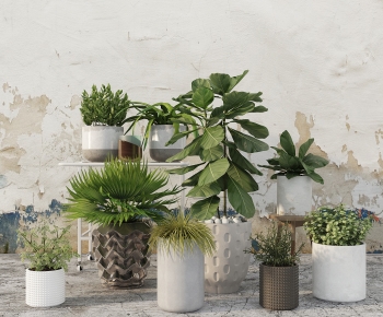 Modern Ground Green Plant Potted Plants-ID:633549713