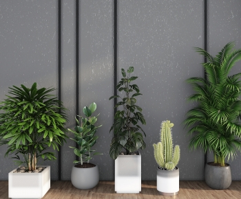 Modern Ground Green Plant Potted Plants-ID:756601106