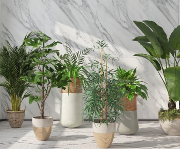 Modern Ground Green Plant Potted Plants-ID:290460634