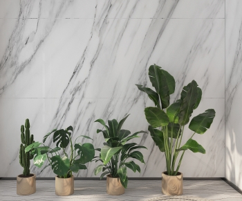 Modern Ground Green Plant Potted Plants-ID:731983909