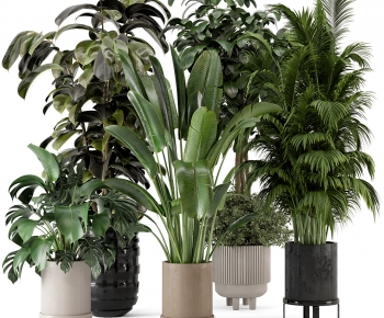 Modern Ground Green Plant Potted Plants-ID:276779898