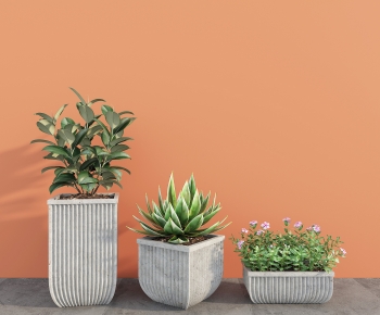 Modern Ground Green Plant Potted Plants-ID:912853961