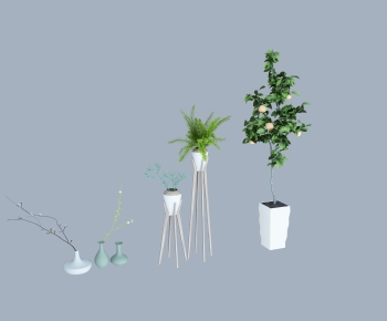 Modern Ground Green Plant Potted Plants-ID:986377003