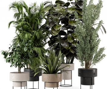 Modern Ground Green Plant Potted Plants-ID:110321024
