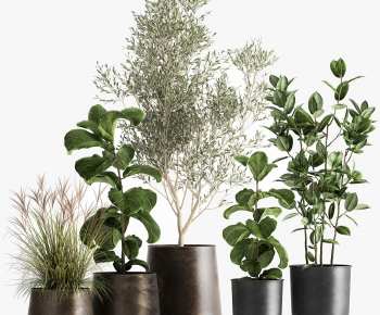 Modern Ground Green Plant Potted Plants-ID:194804914