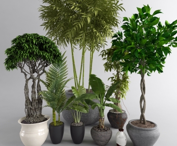 Modern Ground Green Plant Potted Plants-ID:515357023