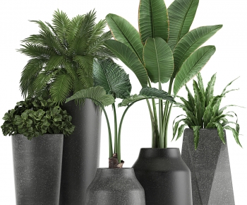 Modern Ground Green Plant Potted Plants-ID:717222935