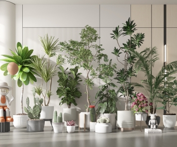 Modern Ground Green Plant Potted Plants-ID:595671897