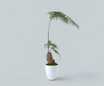 Modern Ground Green Plant Potted Plants-ID:747507102